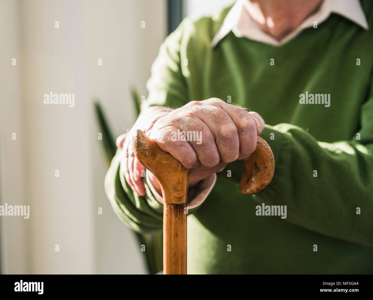 Close-up di senior uomo appoggiato su di canna da zucchero Foto Stock