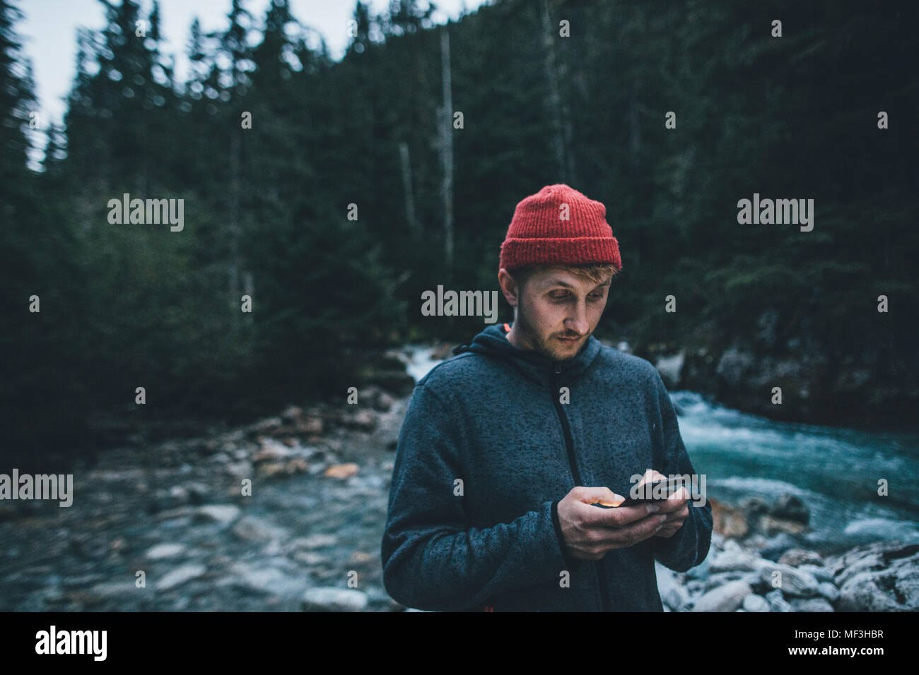 Canada, British Columbia, il Glacier National Park, l'uomo con un telefono cellulare al fiume Illecillewaet nella foresta Foto Stock
