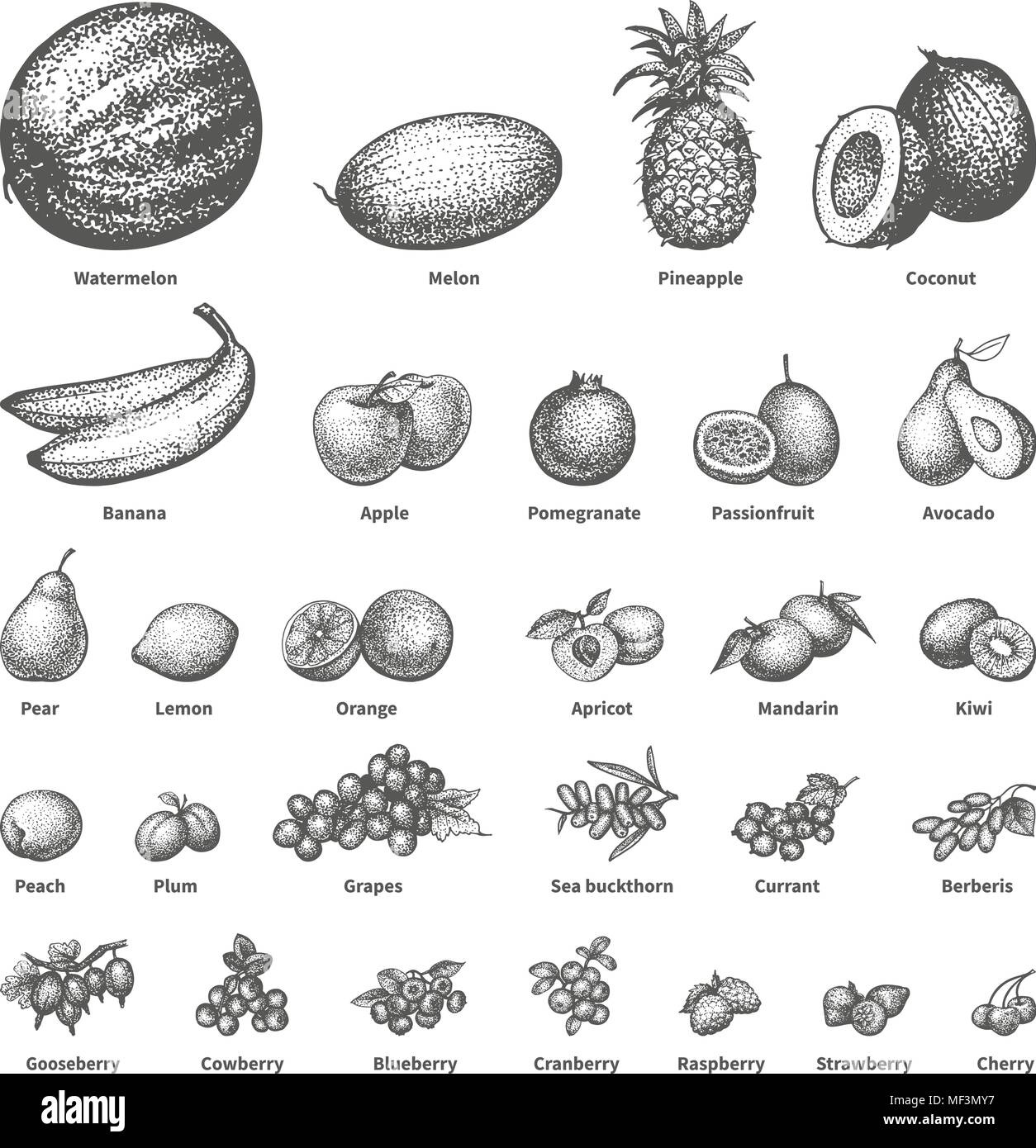 Schizzo doodle disegnati a mano frutta set Illustrazione Vettoriale