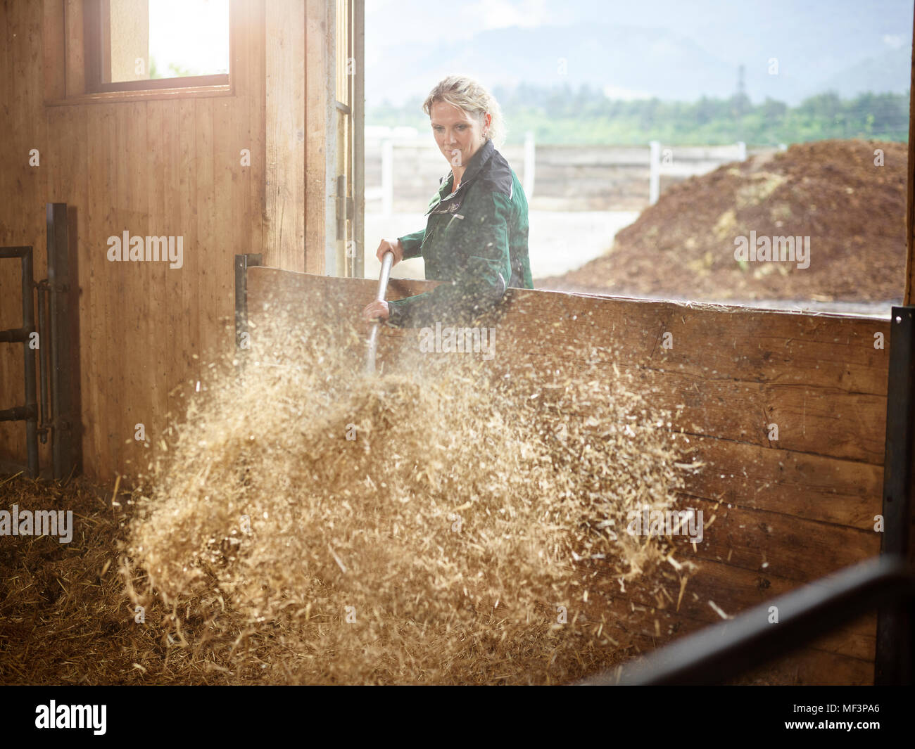 Femmina lavoro contadino con paglia su una fattoria Foto Stock