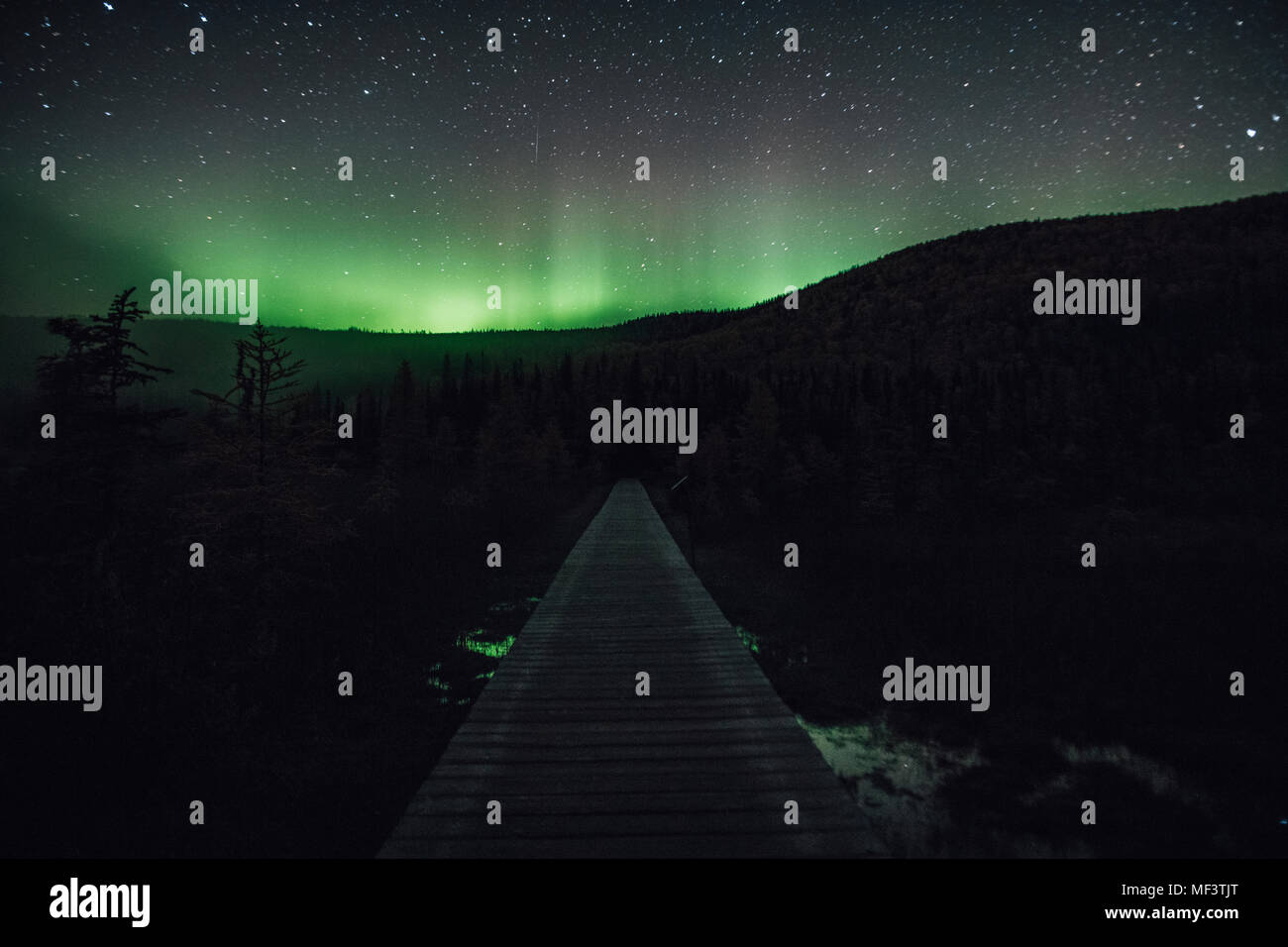 Canada, British Columbia, Fiume Liard Hot Springs Parco Provinciale, Northern Lights, cielo stellato di notte Foto Stock