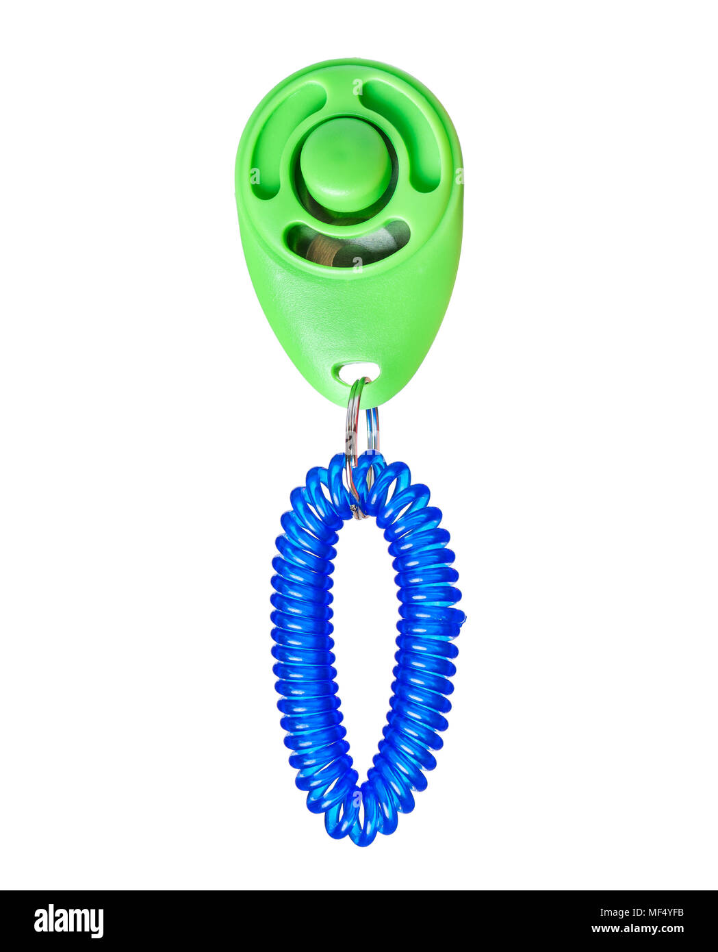 Cane clicker su bianco Foto Stock