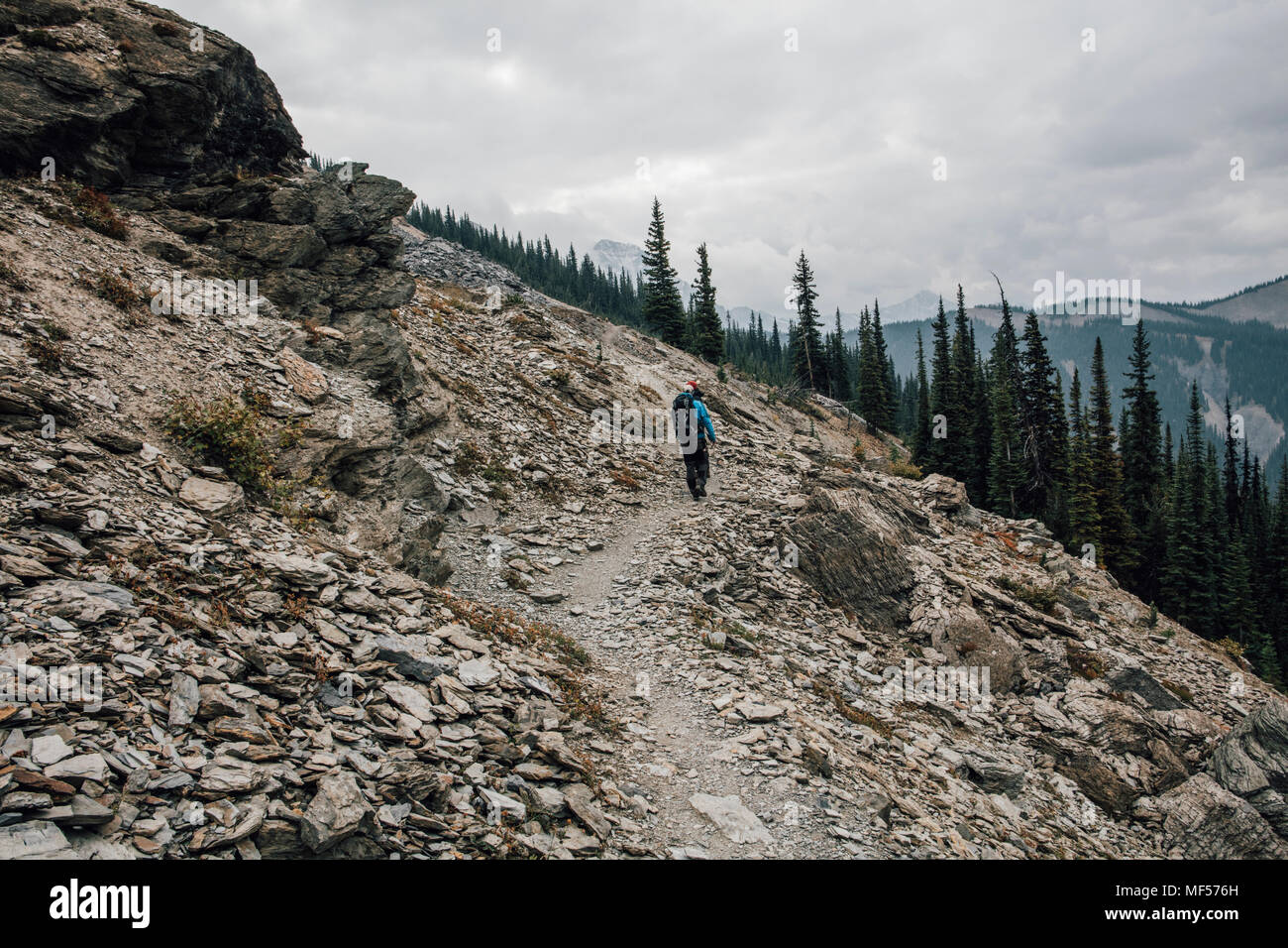 Canada, British Columbia, Parco Nazionale di Yoho, escursionisti sul sentiero a Mount Burgess Foto Stock