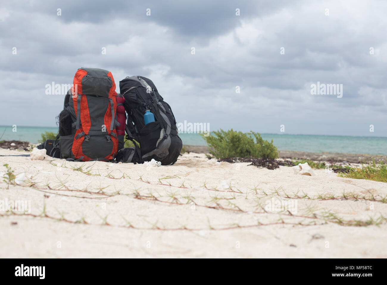 Cuba, Puerto Padre, Bahia de Malagueta, due zaini abbandonati sulla spiaggia Foto Stock