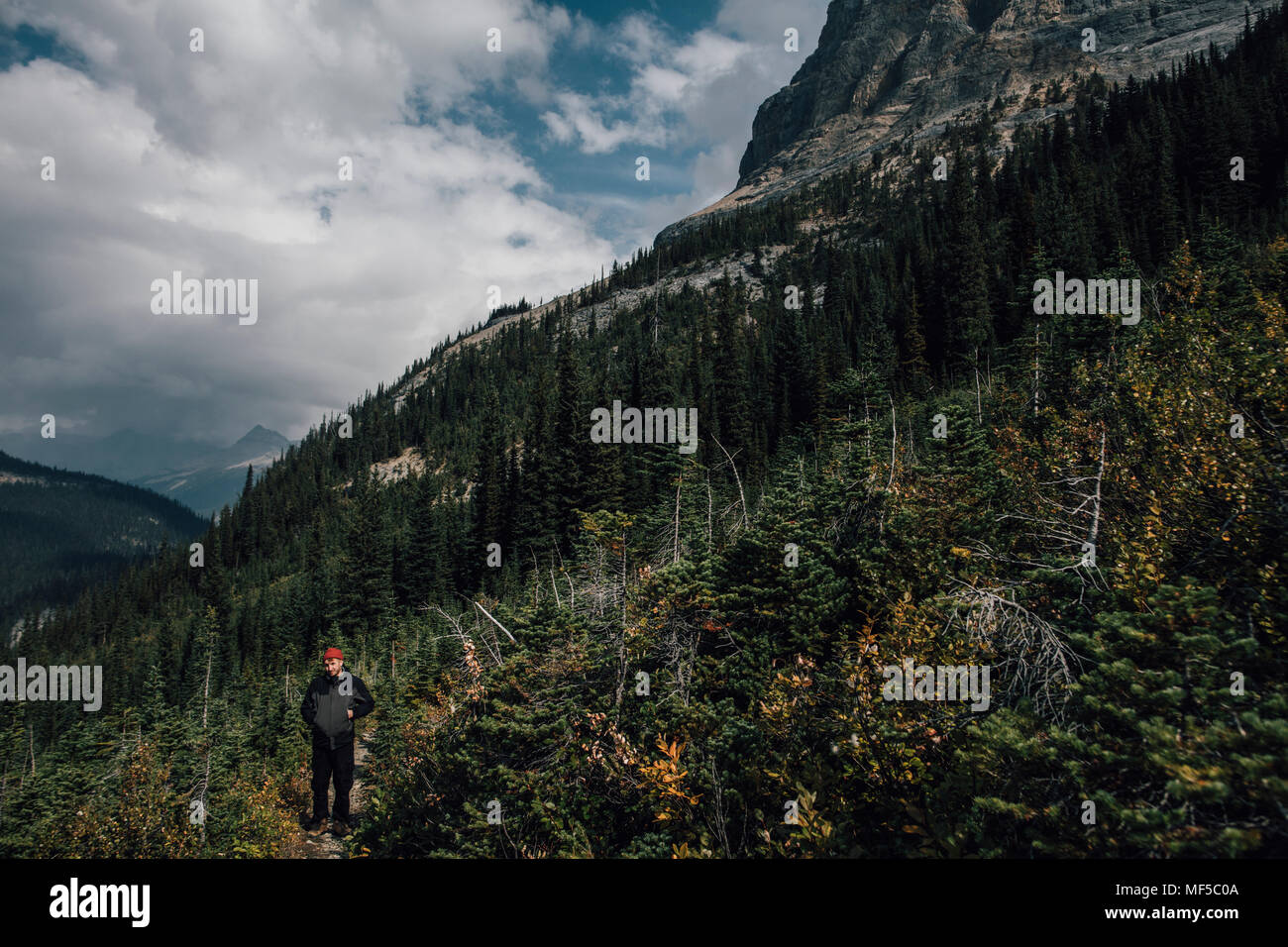 Canada, British Columbia, Parco Nazionale di Yoho, uomo escursionismo a Mount Burgess Foto Stock