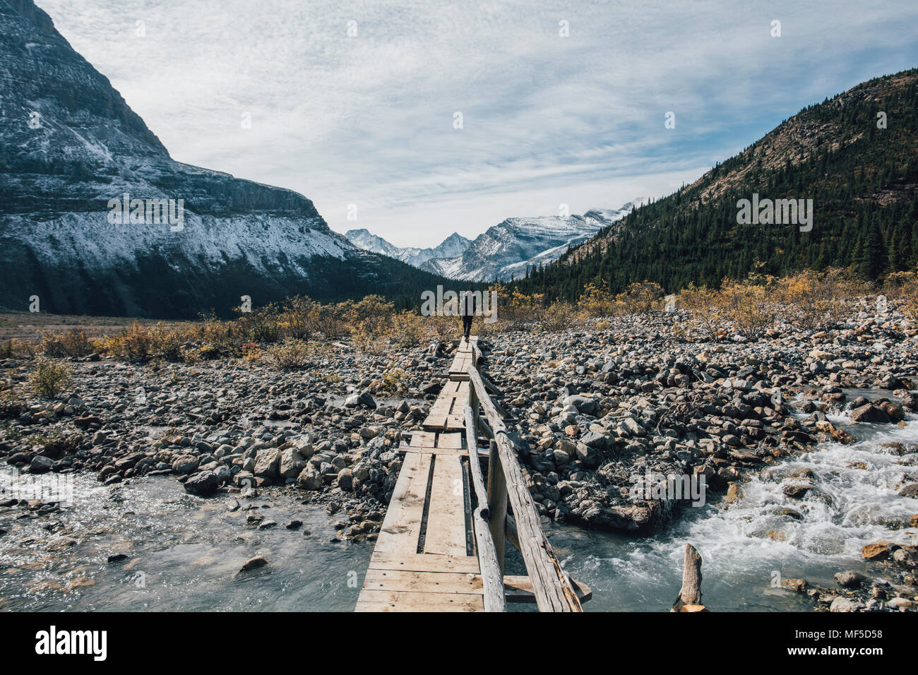 Canada, British Columbia, Monte Robson Provincial Park, uomo escursionismo su Berg Lago Trail Foto Stock