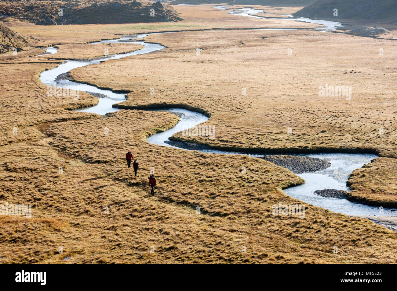 Austria, Tirolo, Stubaital, Hohes Moos nella luce del mattino, tre escursionisti Foto Stock