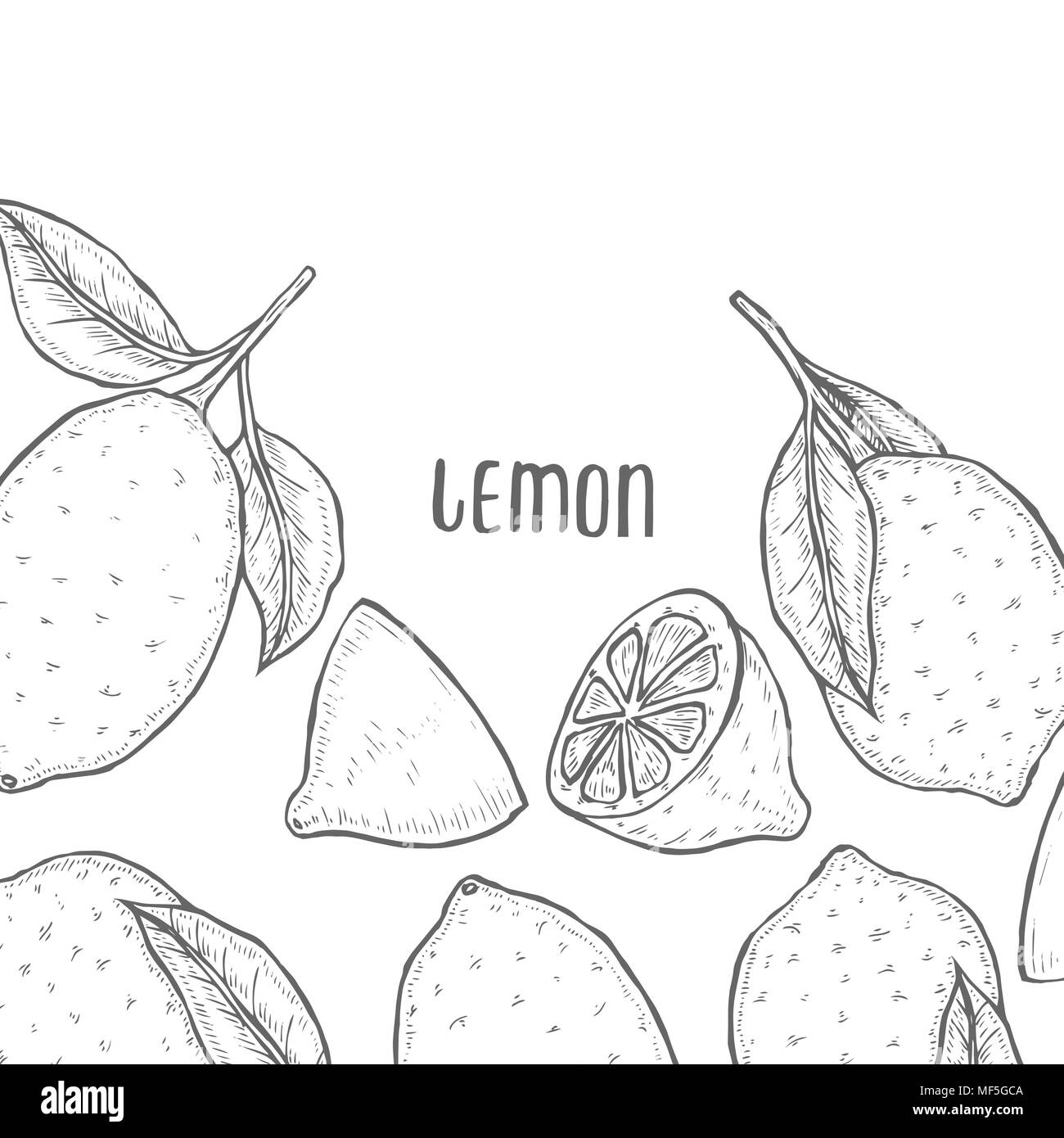 Ramo di limone Foto e Immagini Stock in Bianco e Nero - Pagina 2 - Alamy
