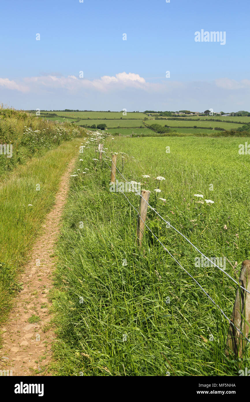 Nsi testa e il sud ovest via costiera in Cornovaglia Foto Stock