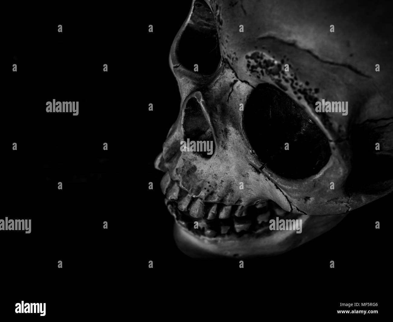 Vista superiore del cranio umano con texture su sfondo scuro concetto Horror Foto Stock