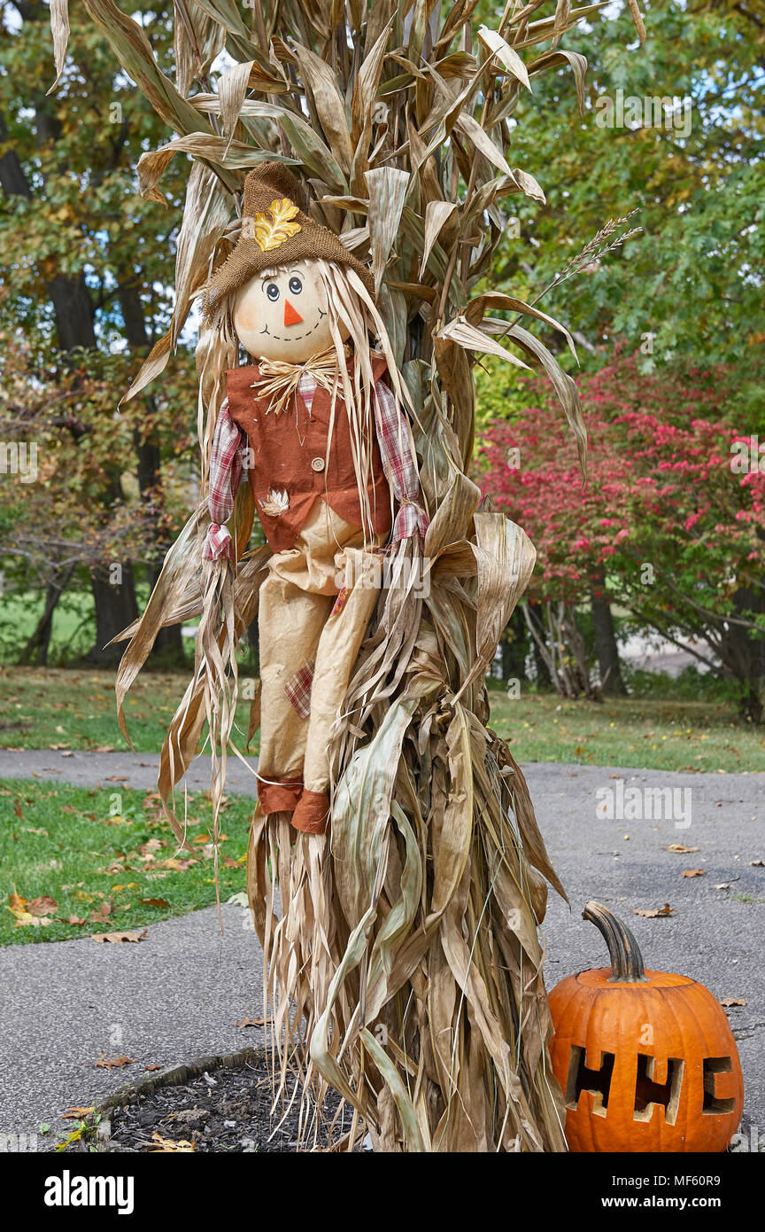 Uomo di Paglia e stocchi di mais di accogliere gli ospiti nella comunità festival di zucca e halloween Foto Stock