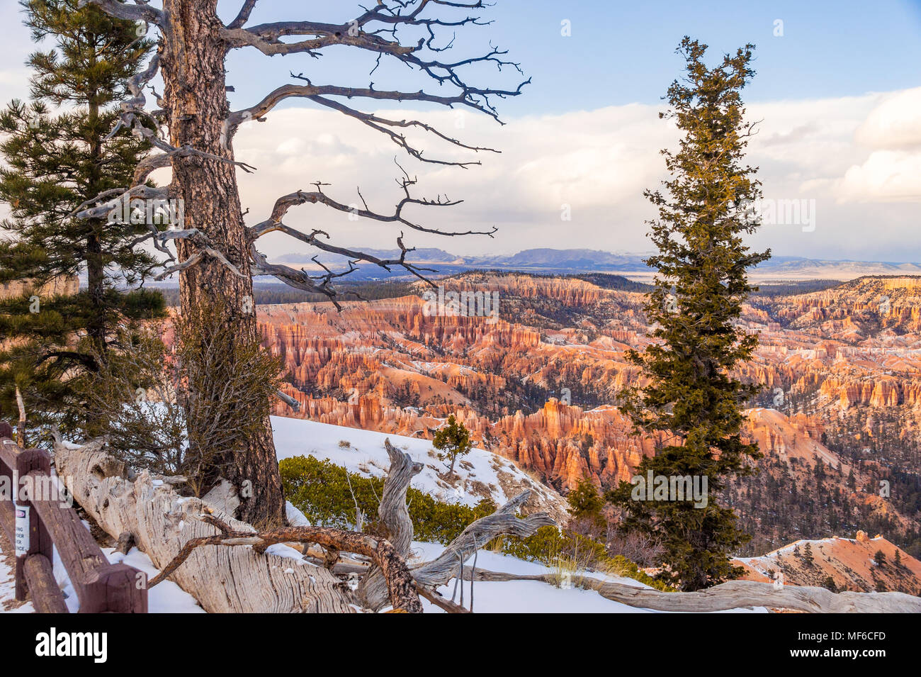 Bryce Canyon in inverno, Utah, Stati Uniti d'America Foto Stock