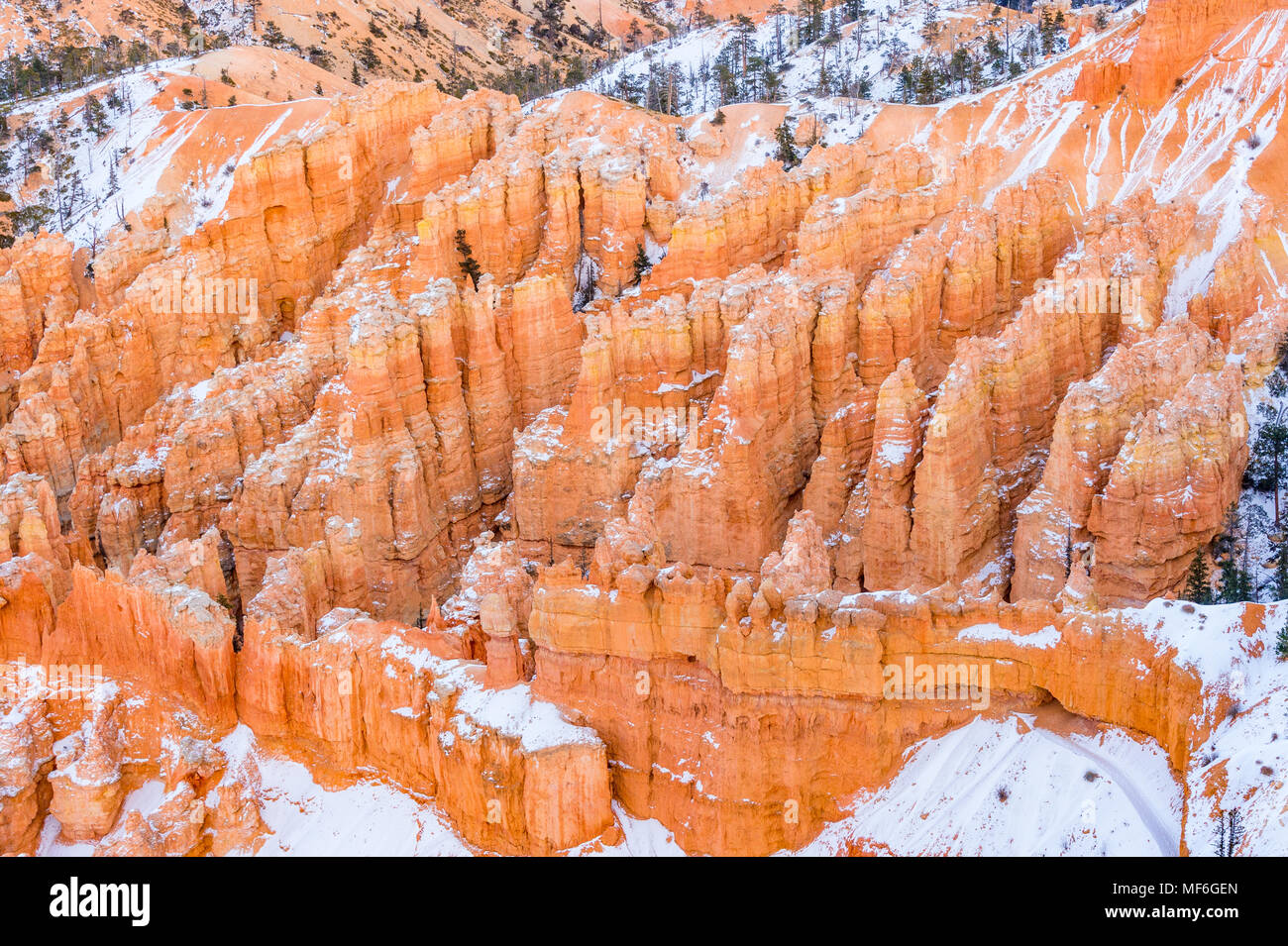Bryce Canyon in inverno, Utah, Stati Uniti d'America Foto Stock