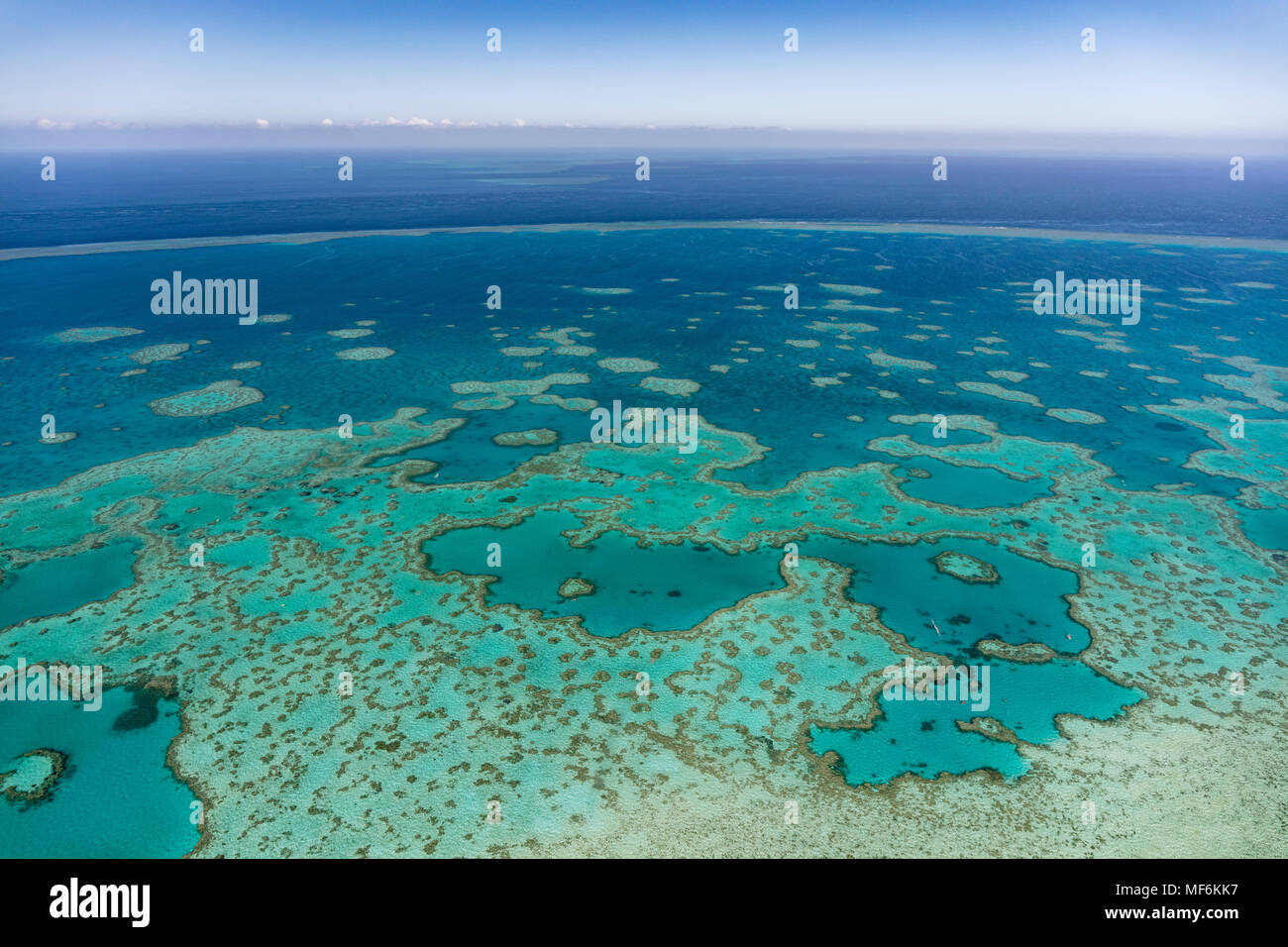 Strutture in Coral Reef, la Grande Barriera Corallina, Queensland, Australia Foto Stock