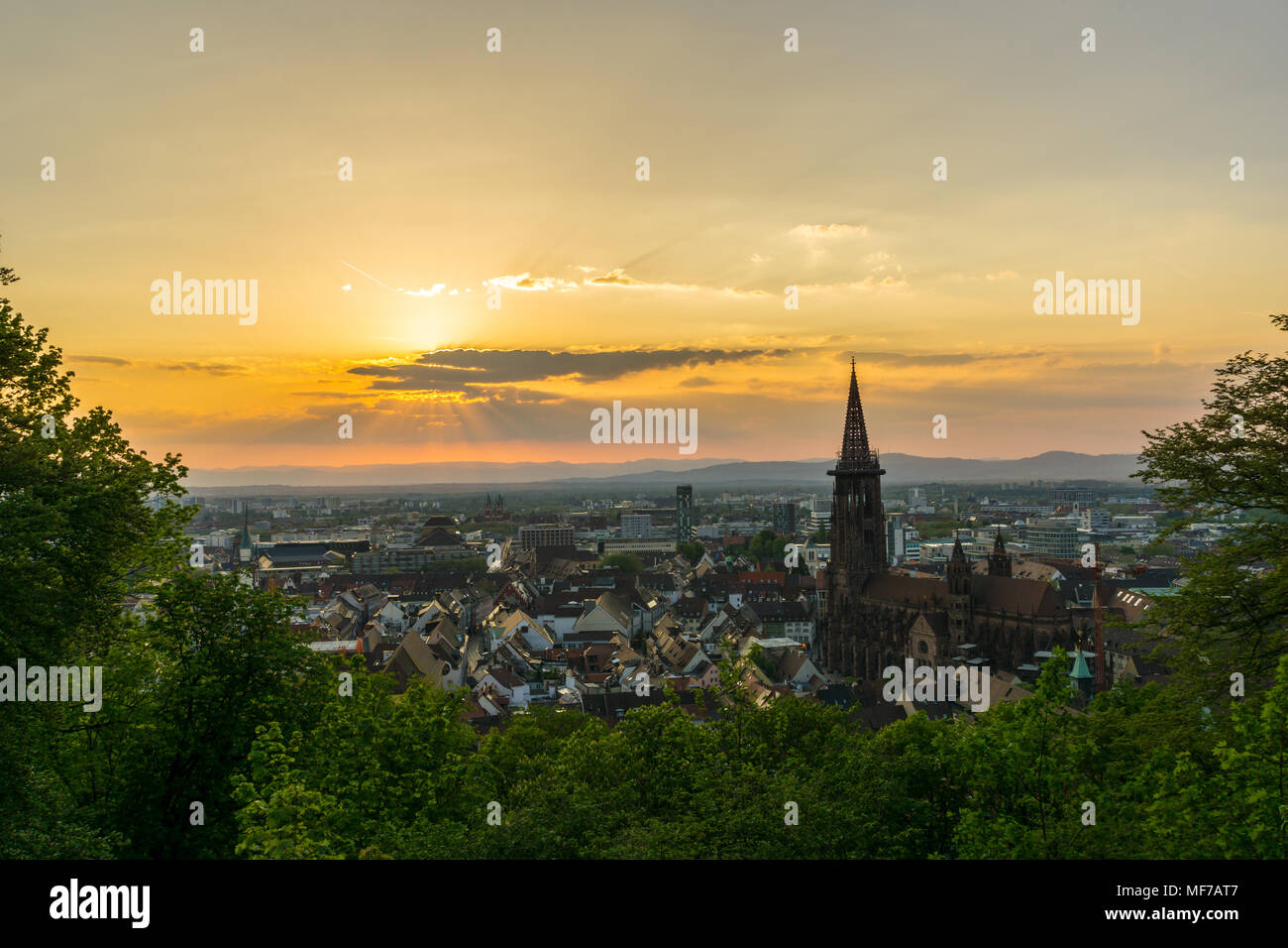 Germania, città Freiburg im Breisgau vista aerea attraverso verdi alberi nella calda luce del tramonto Foto Stock