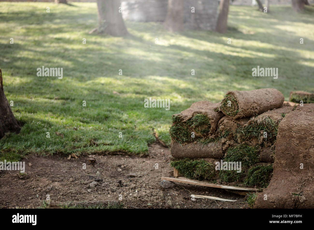 Nuovo tappeto erboso verde erba rotoli impilati in una pila sul pallet in legno sono pronti per essere utilizzati in una città, park, stadio arena sportiva o in un giardino formale Foto Stock