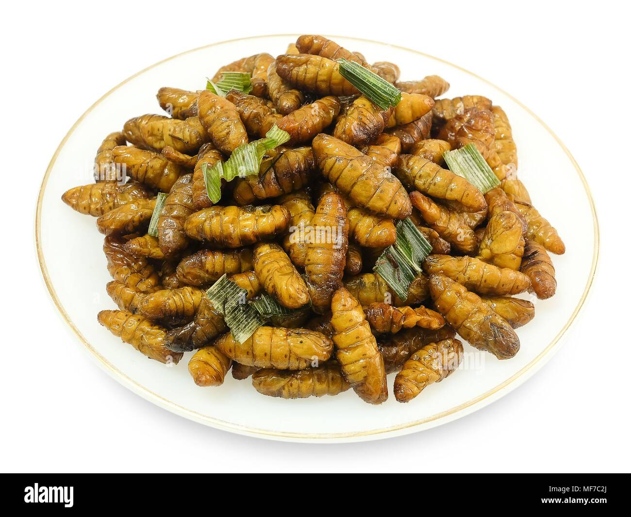 La cucina e il cibo, piastra di tailandese tradizionale profondo fritto marinato vermi di noce di cocco con erbe isolati su sfondo bianco. Uno dei più popolari street Foto Stock