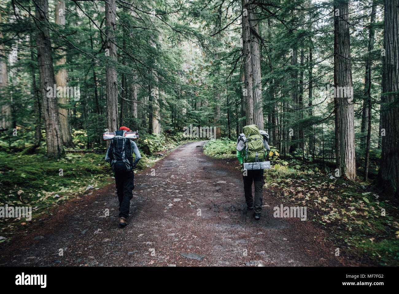 Canada, British Columbia, Monte Robson Provincial Park, gli escursionisti su Berg Lago Trail Foto Stock