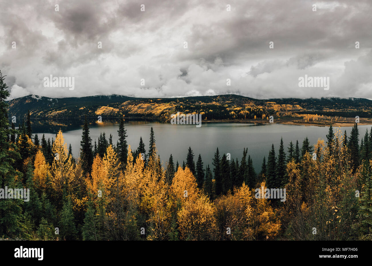 Canada, British Columbia, Kitimat-Stikine A, vista dalla strada statale 37 del lago in autunno Foto Stock