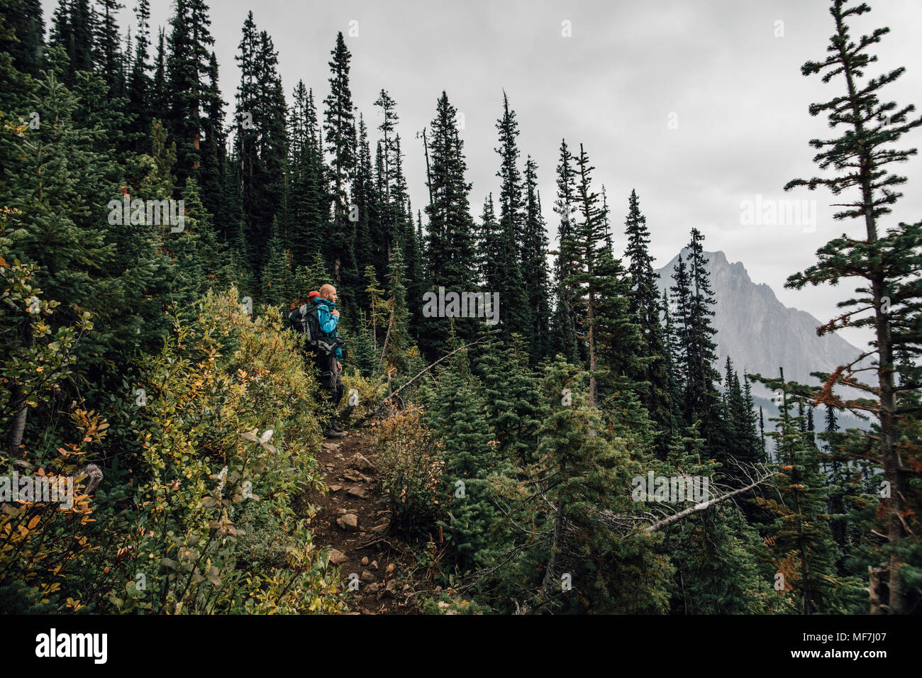 Canada, British Columbia, Parco Nazionale di Yoho, escursionisti sul sentiero a Mount Burgess Foto Stock