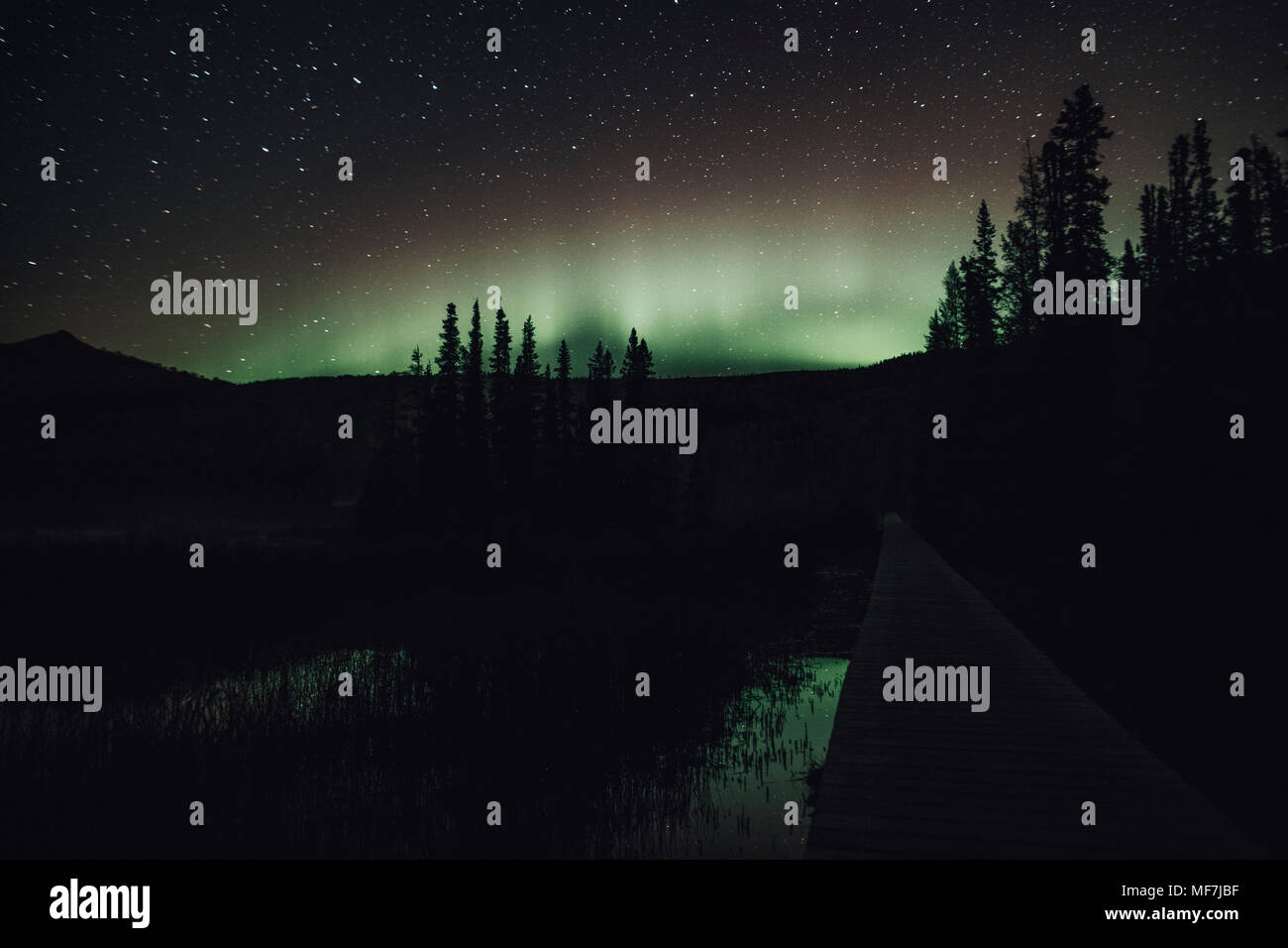 Canada, British Columbia, Fiume Liard Hot Springs Parco Provinciale, Northern Lights, cielo stellato di notte Foto Stock