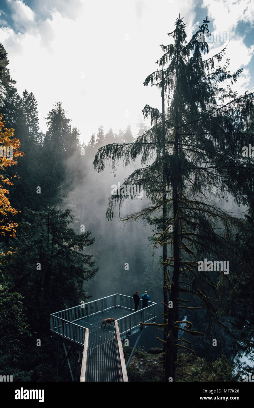 Canada, British Columbia, Elk Falls, due uomini con il cane sul belvedere Foto Stock