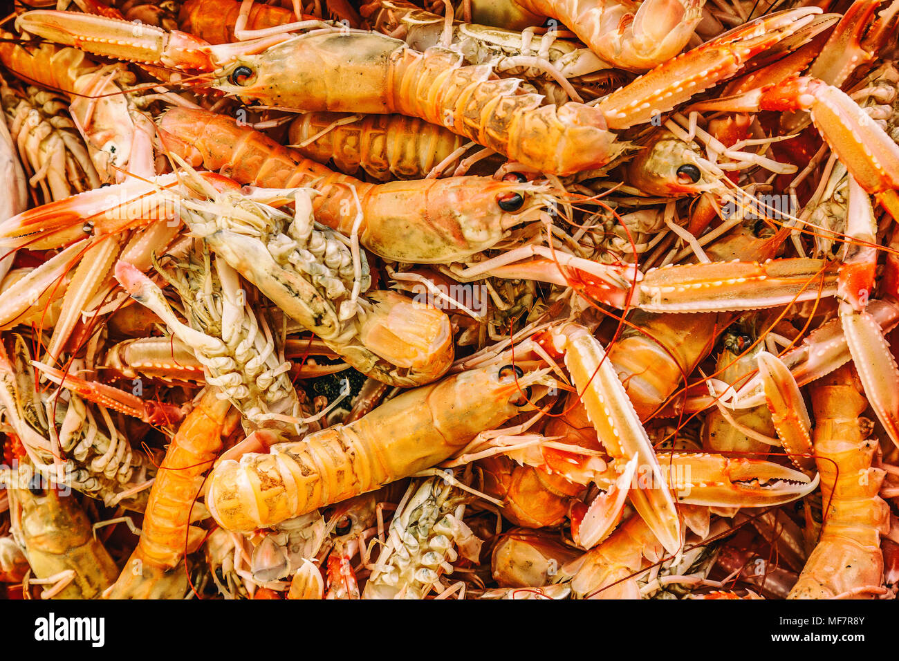 Crudo fresco gamberi in un mercato di pesce Foto Stock