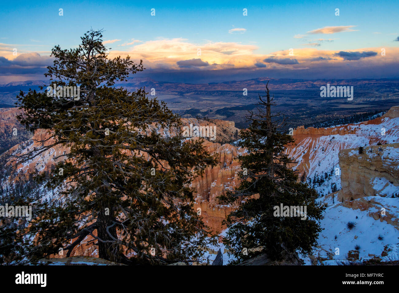 Bryce Canyon in inverno, Utah, Stati Uniti d'America Foto Stock