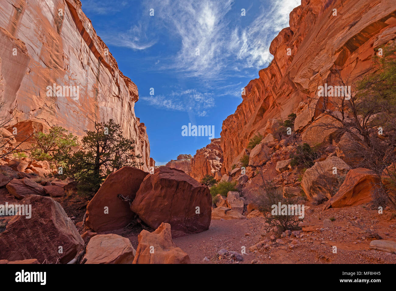 Ombra e luce profondo in un canyon del deserto a Capitol Reef National Park nello Utah Foto Stock