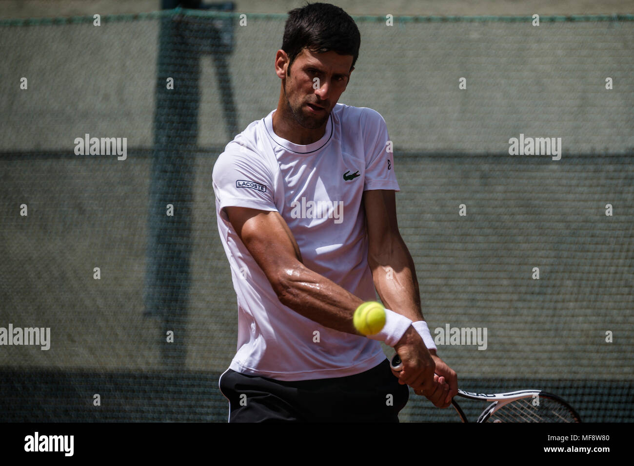 Barcellona, Spagna. 24 Aprile 2018: Novak Djokovic (SRB) restituisce la sfera durante una sessione di allenamento al giorno 2 della " Barcelona Open Banc Sabadell' 2018. Credito: Matthias Oesterle/Alamy Live News Foto Stock