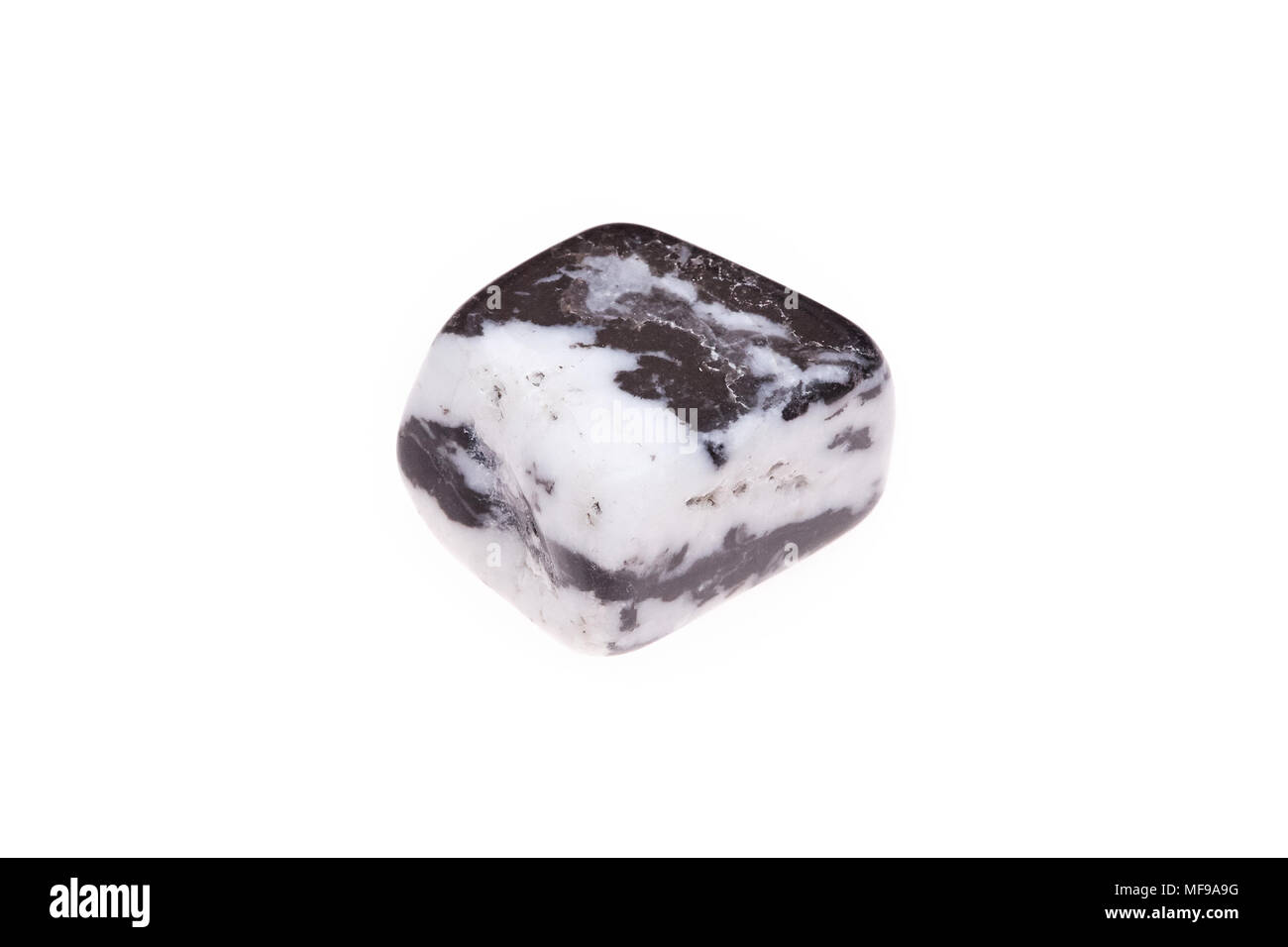 Argillite zebra minerali di pietra, isolati su sfondo bianco, macro Foto Stock
