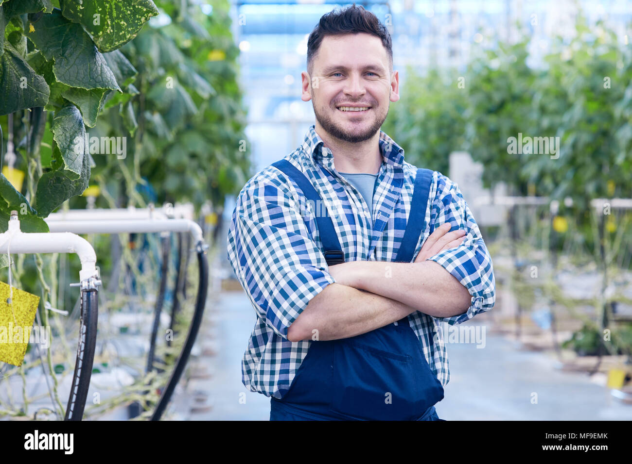 Lavoratore sorridente sulla piantagione di vegetali Foto Stock