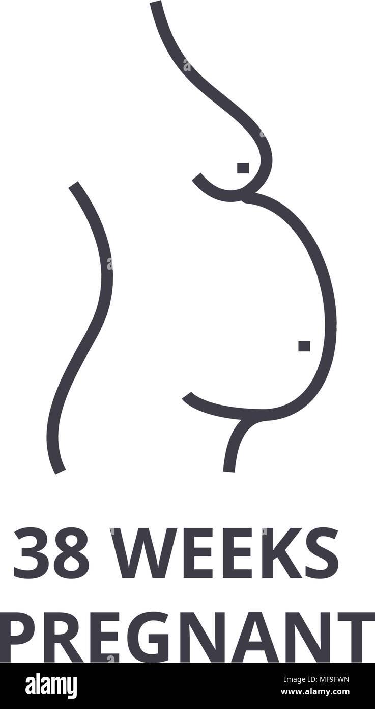 38 settimane di gravidanza di una linea sottile icona, segno, simbolo illustation, concetto lineare, vettore Illustrazione Vettoriale