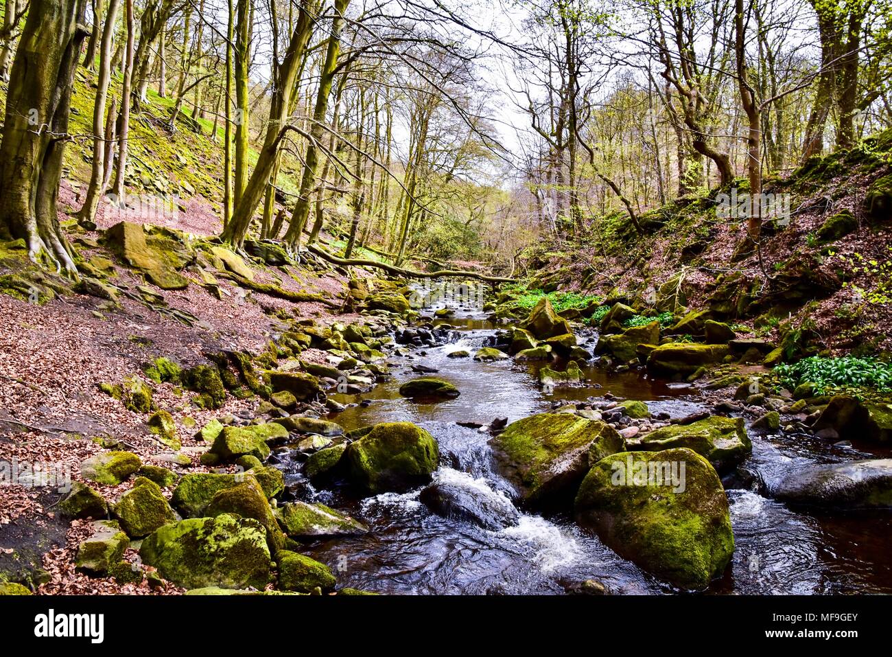 Booth Dean Clough Stream Foto Stock