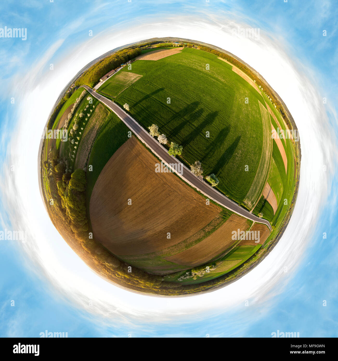 Piccolo pianeta panorama di una strada di campagna in Franconia, Baviera, Germania. Alberi fioriti gettare ombre lunghe in basso in piedi sun. Vista aerea. Foto Stock