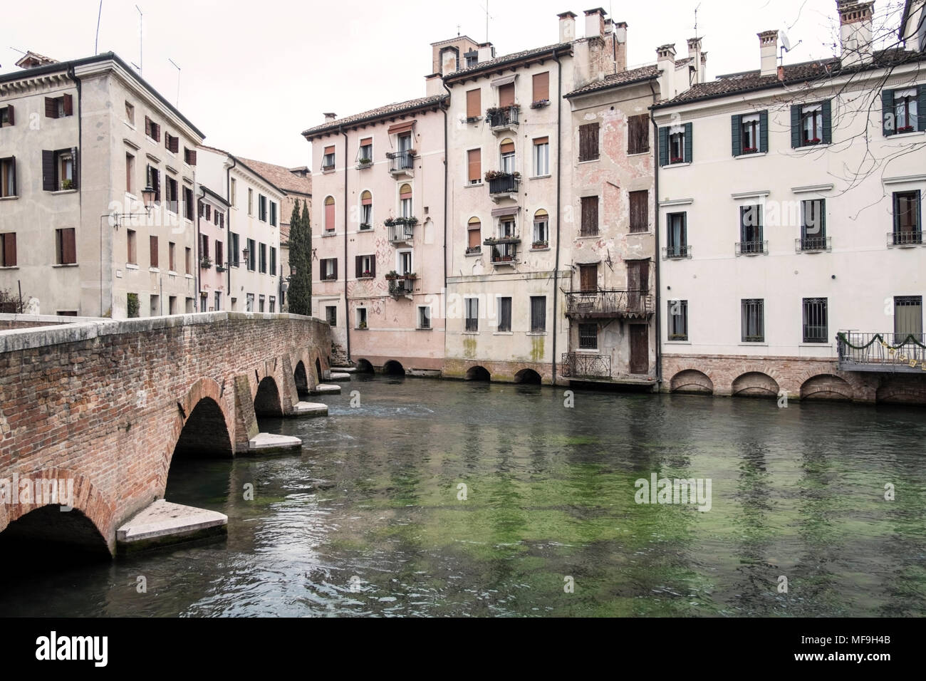 Il centro di Treviso con il fiume Sile, regione Veneto, Italia Foto Stock