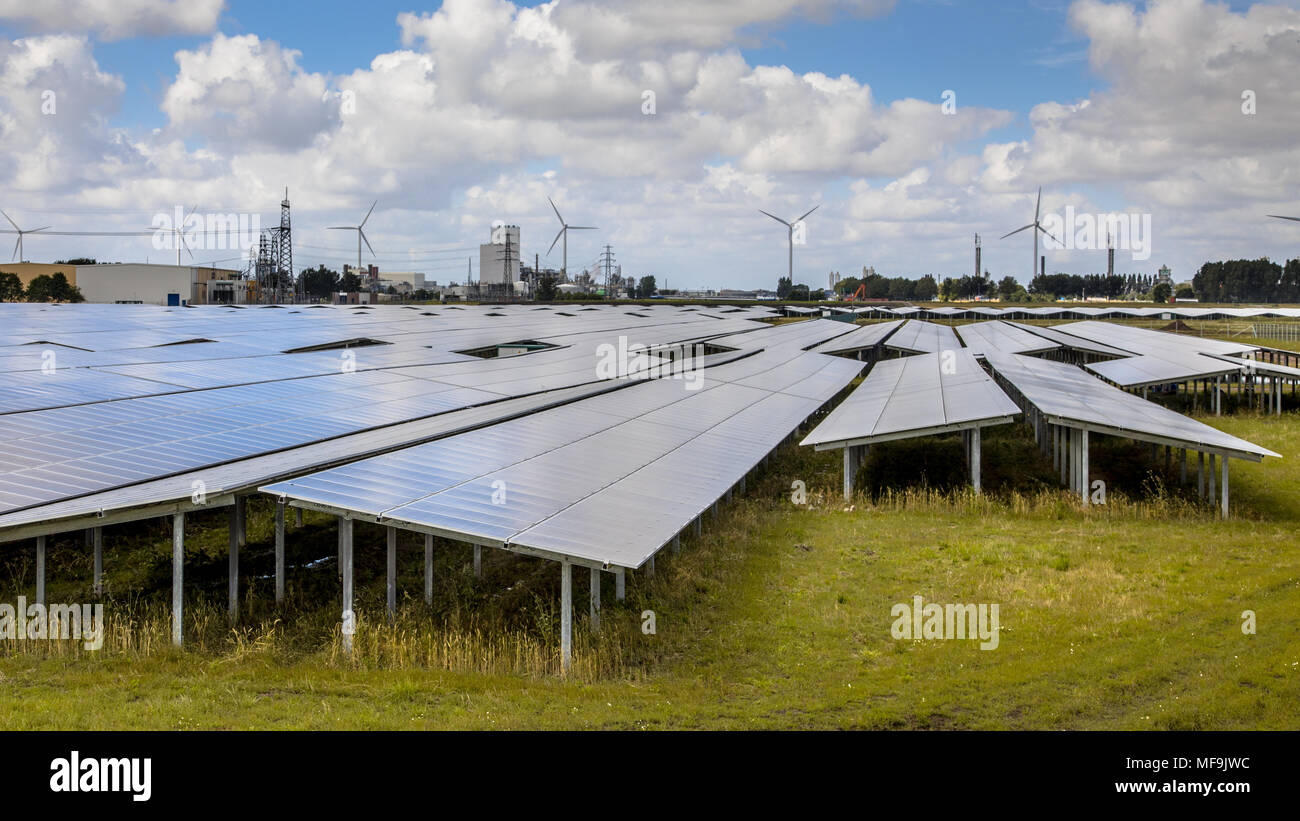 I pannelli solari di un impianto fotovoltaico in zona industriale Foto Stock