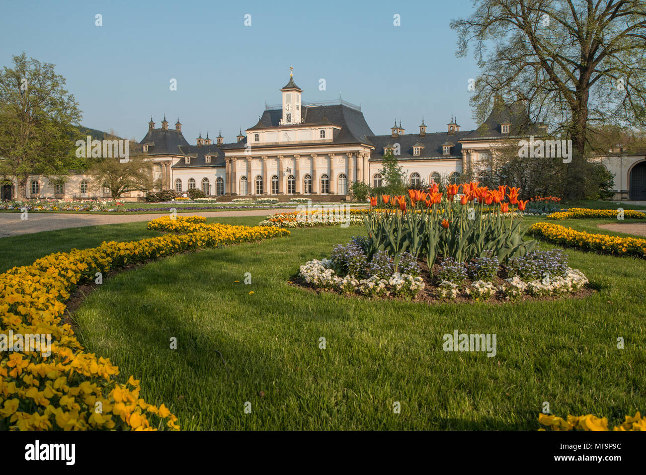 Una particolare immagine di un giardino del castello decorato con un sacco di fiori di Dresda, in Germania. Nella foto durante la primavera al sole nel pomeriggio. Foto Stock