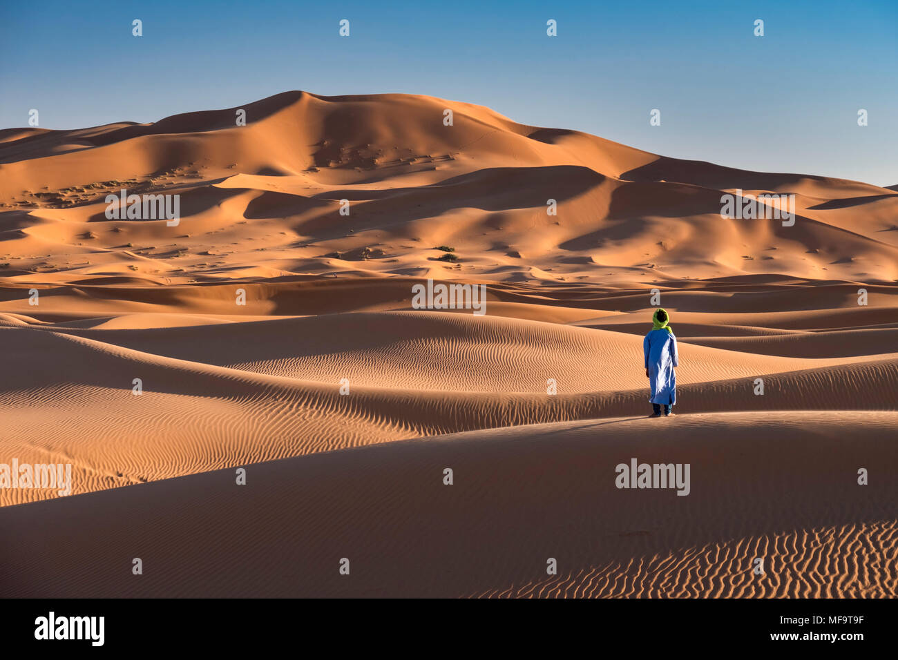 Un riff uomo sorge in corrispondenza del bordo del deserto del Sahara, Erg Chebbi, vicino a Merzouga, Marocco modello rilasciato Foto Stock