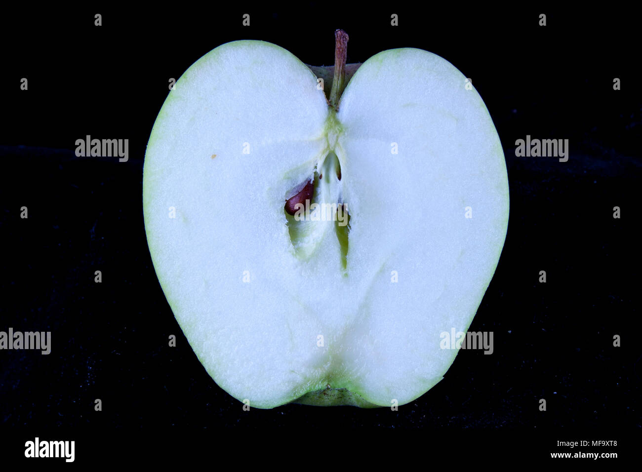 Antico tedesco Apple Cultivar 'Weißer Winterglockenapfel' Foto Stock