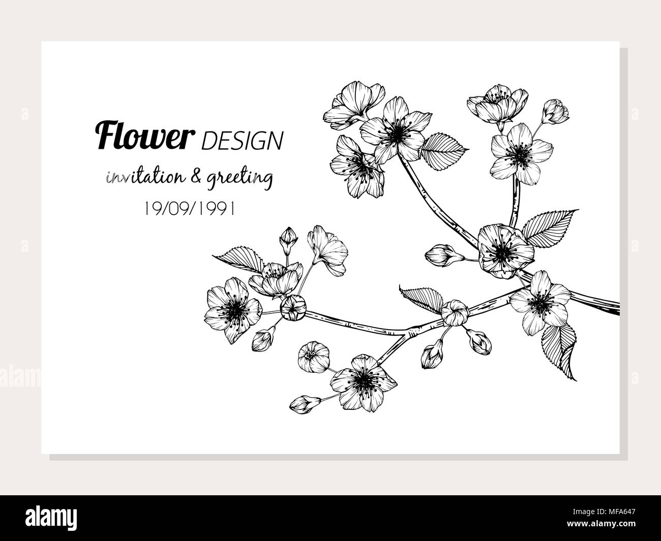 Sakura flower telaio illustrazione di disegno per invito e biglietto di auguri design. Illustrazione Vettoriale