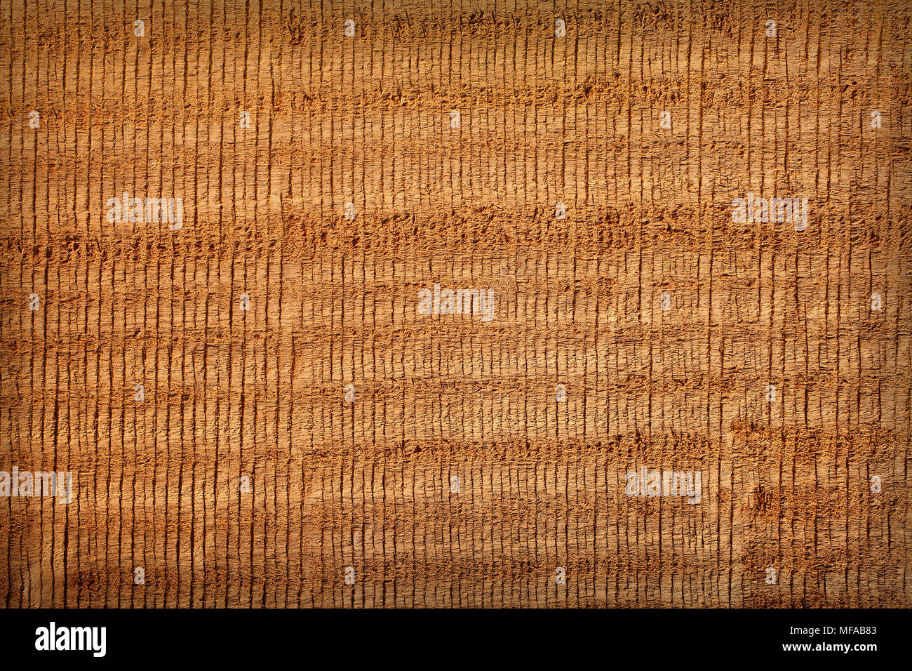 Texture in legno con tracce della sega per lo sfondo. Foto Stock