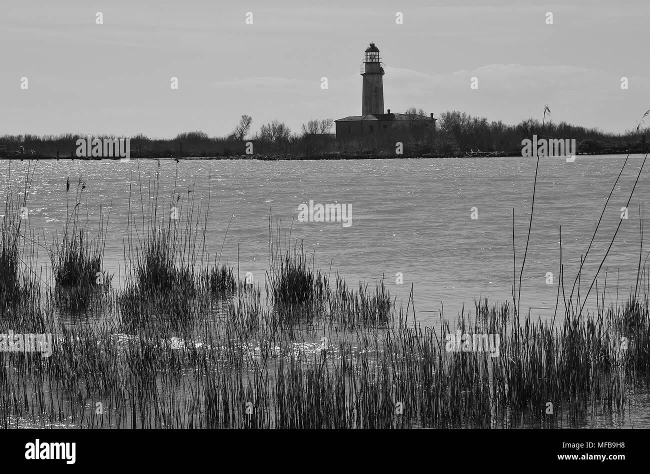 Nella regione del Delta del Po, un paradiso naturale. Un braccio del fiume Po sfocia nel mare Adriatico. Reed sulla riva e il faro. L'Italia, l'Europa. Foto Stock