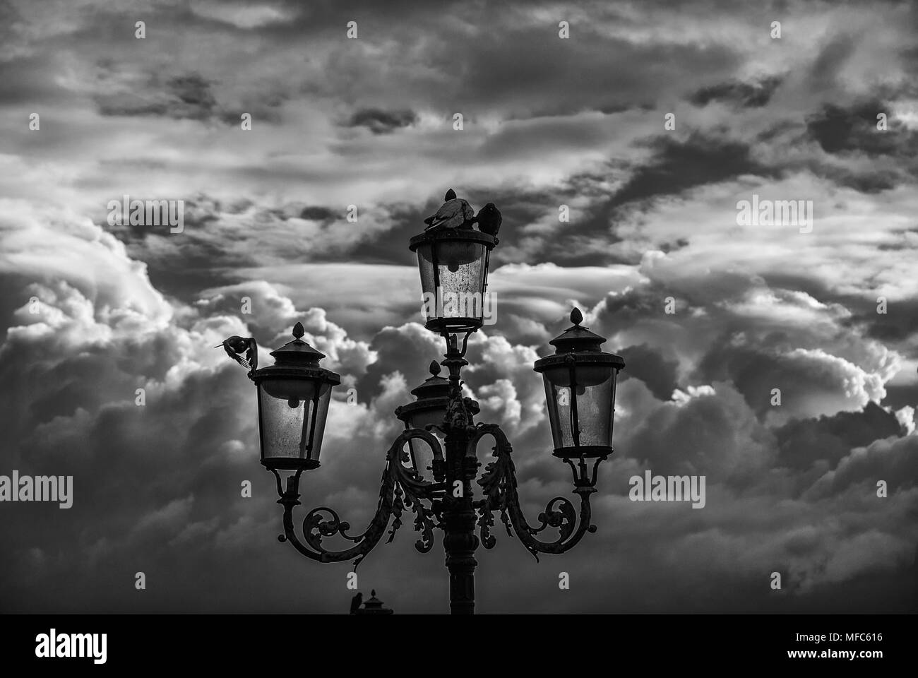 Vecchia strada lampada a Venezia con piccioni contro un cielo nuvoloso (bianco e nero) Foto Stock