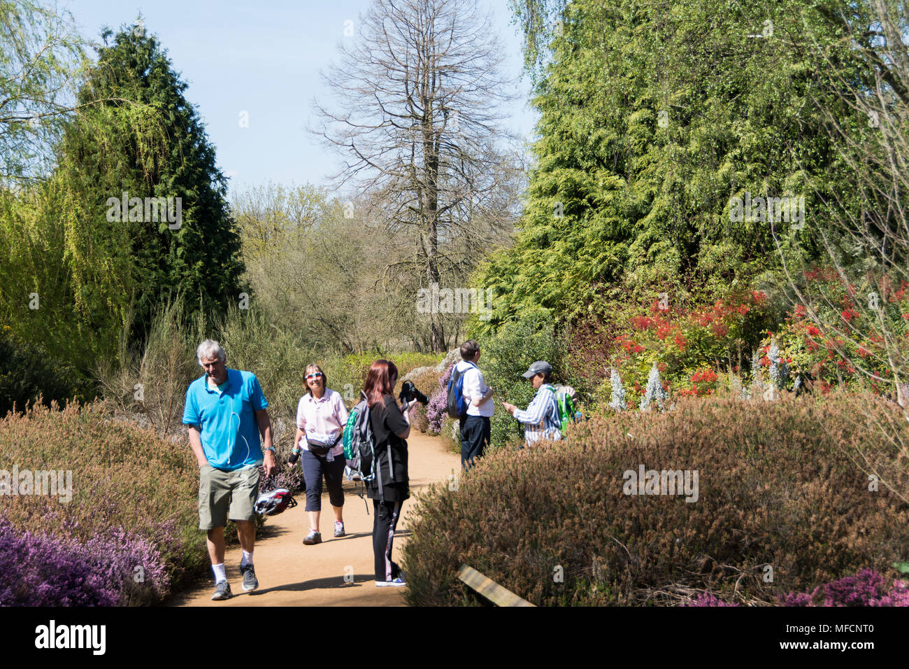 Le persone che godono di una delle più calde di aprile giorni sul record nella piantagione di Isabella, Richmond Park, London, Regno Unito Foto Stock