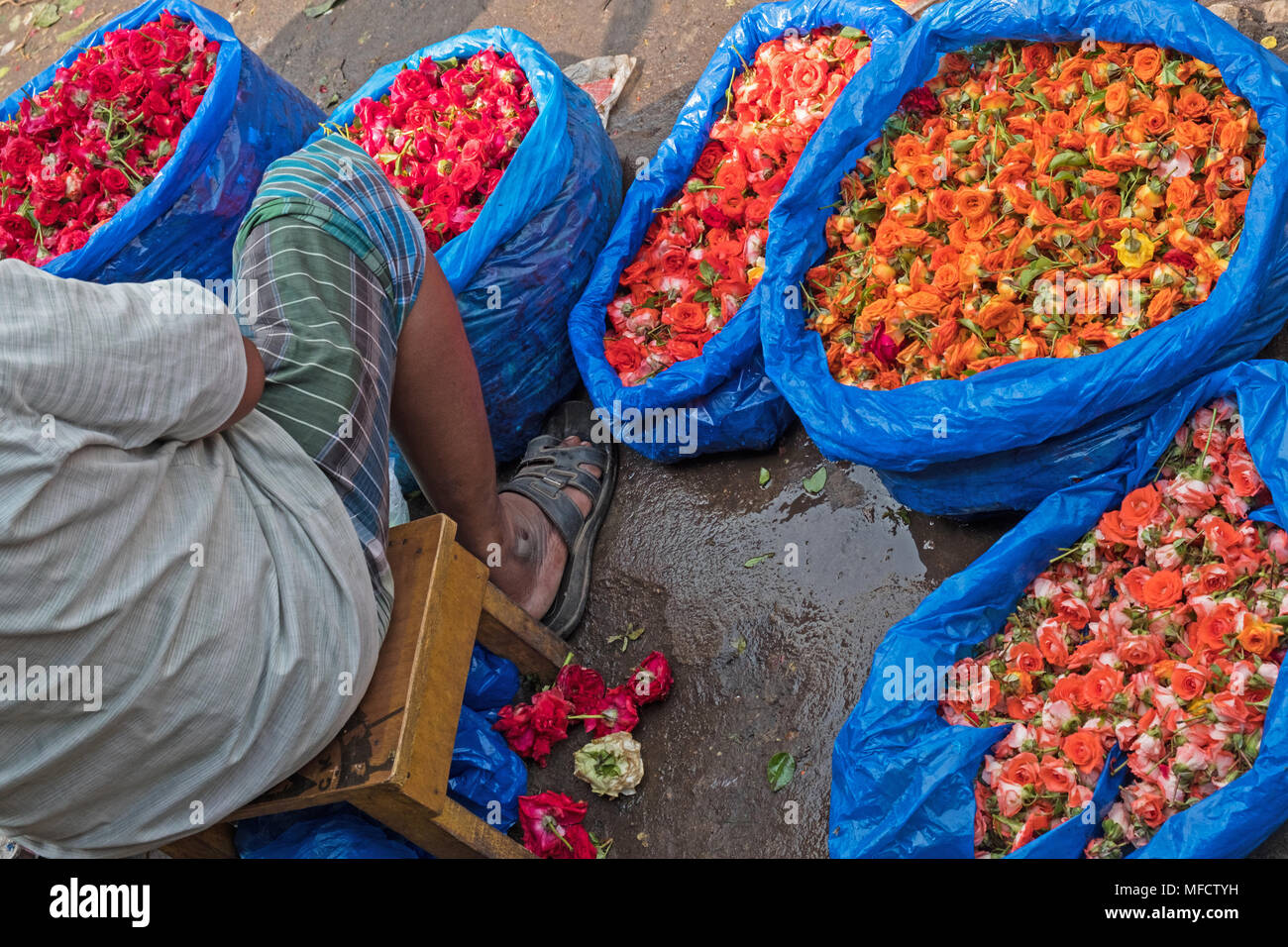 Le rose per la vendita su un mercato dei fiori in Tamil Nadu, India Foto Stock