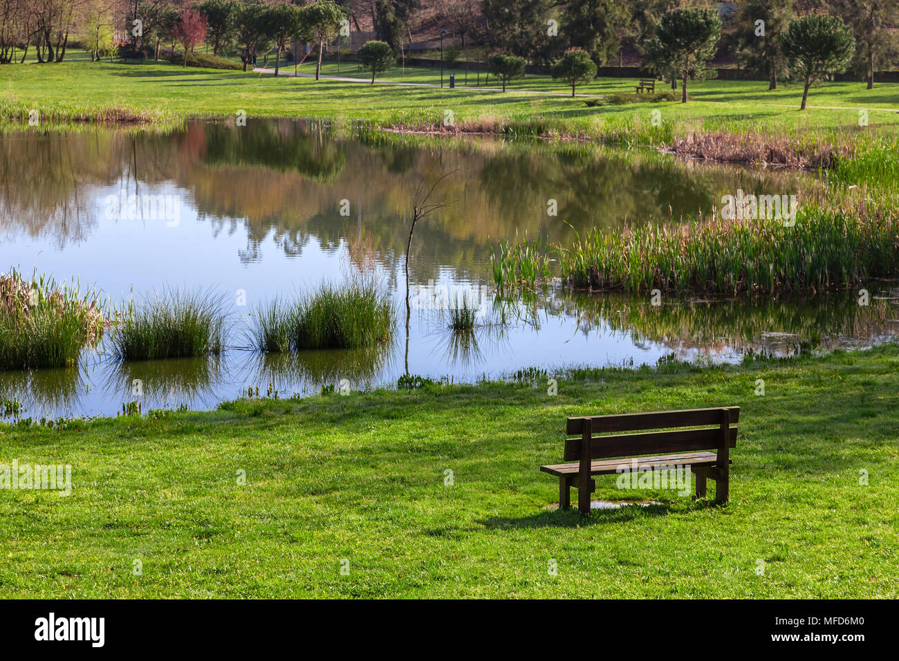 Panchina da giardino che si affaccia sul lago/stagno di Parque da Devesa parco urbano in Vila Nova de Famalicao, Portogallo. Vista di erba verde di prati e il lago. Foto Stock