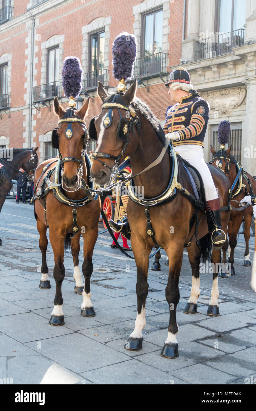 Madrid, Spagna - 11 Marzo 2015: un uomo in uniforme cerimoniale conduce i cavalli tirando un carrello in Plaza de la Provincia nel centro di Madrid in una giornata di sole. Foto Stock