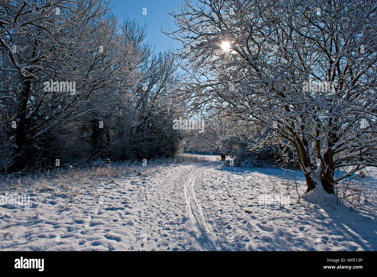 Coperta di neve il sentiero nel Parco Haysden, Tonbridge, Kent Foto Stock