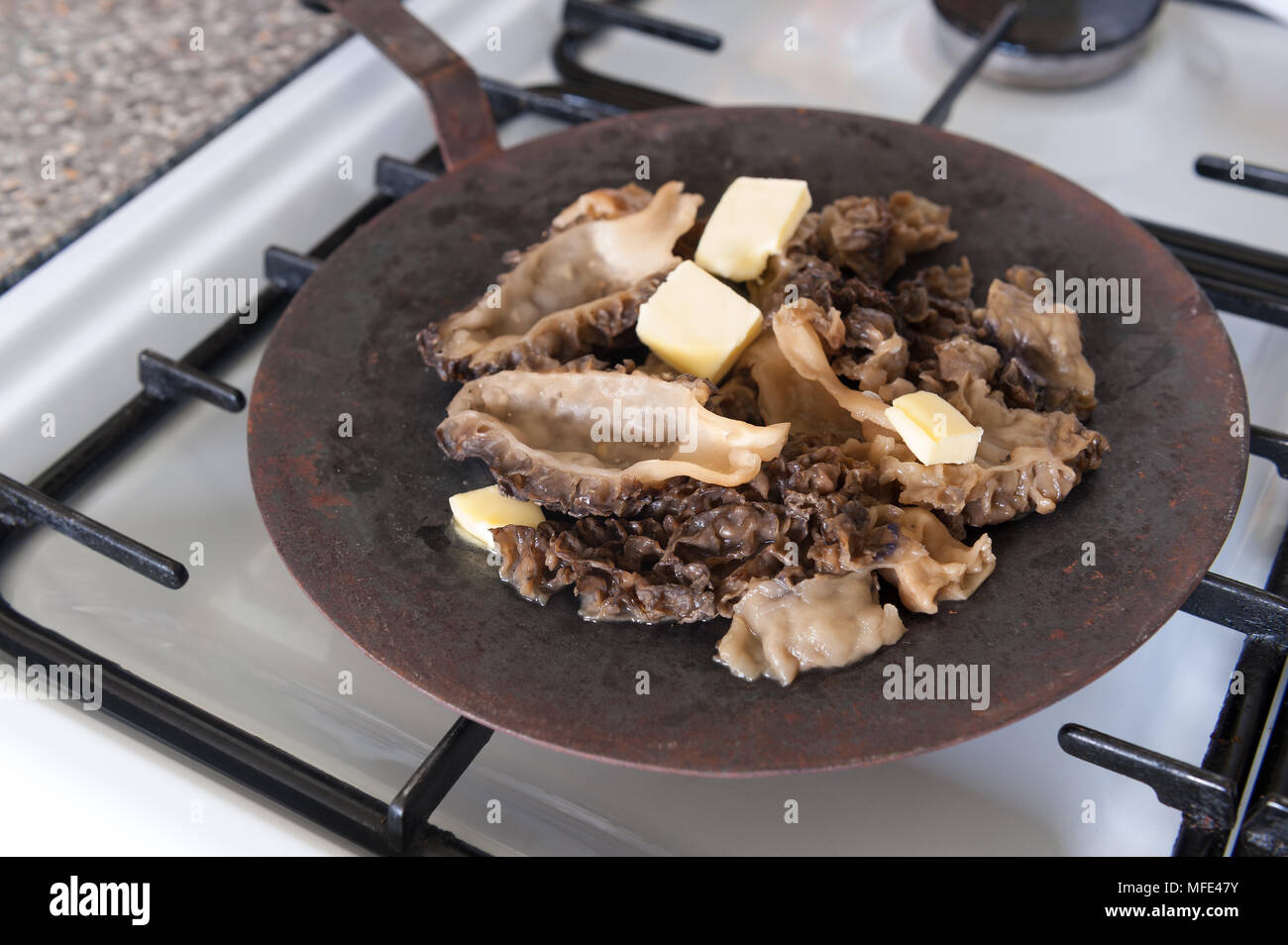 Cucina frugale morilles essendo fritto nel burro per trattenere il sapore, tagliate a metà e lavato prima il riscaldamento in acciaio solido tava tawa su fiamma a gas. Foto Stock